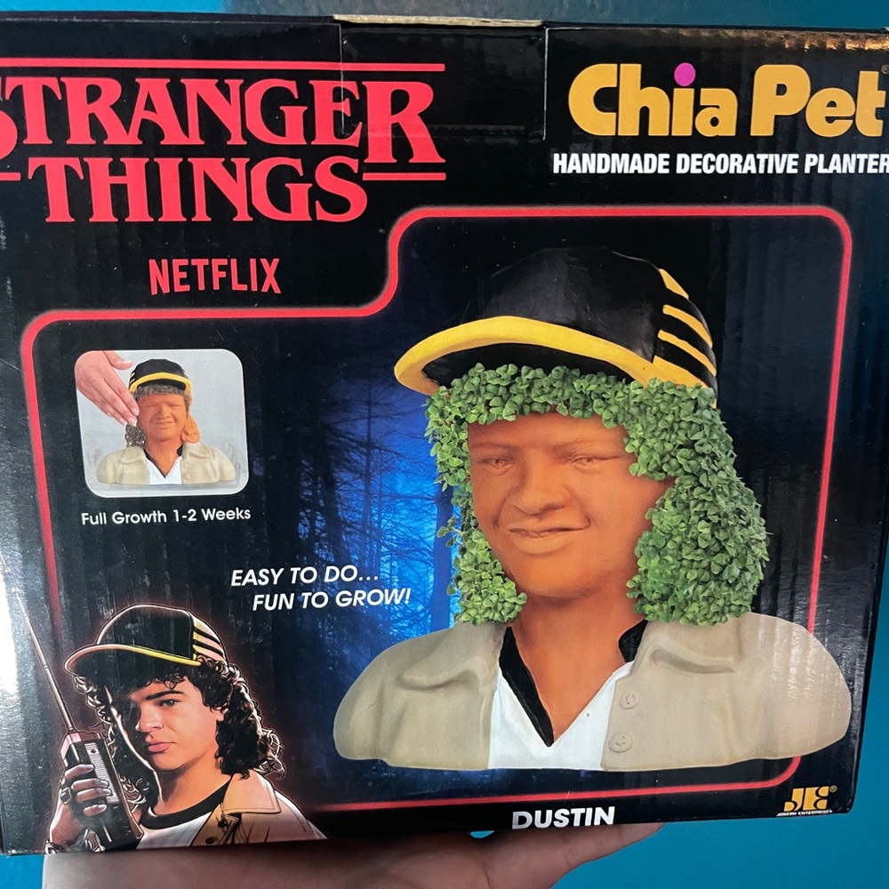 Chia Pet Stranger Things Dustin Handmade Decorative Planter